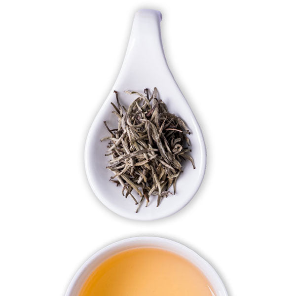 Silver Needles White Tea - The Tea Shelf